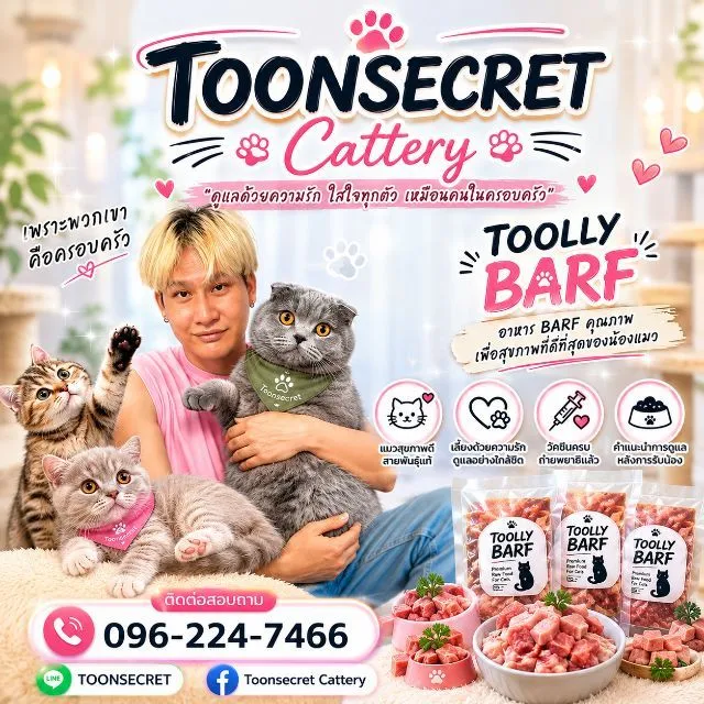 สก๊อตติช บริทิช เอ็กโซติก
