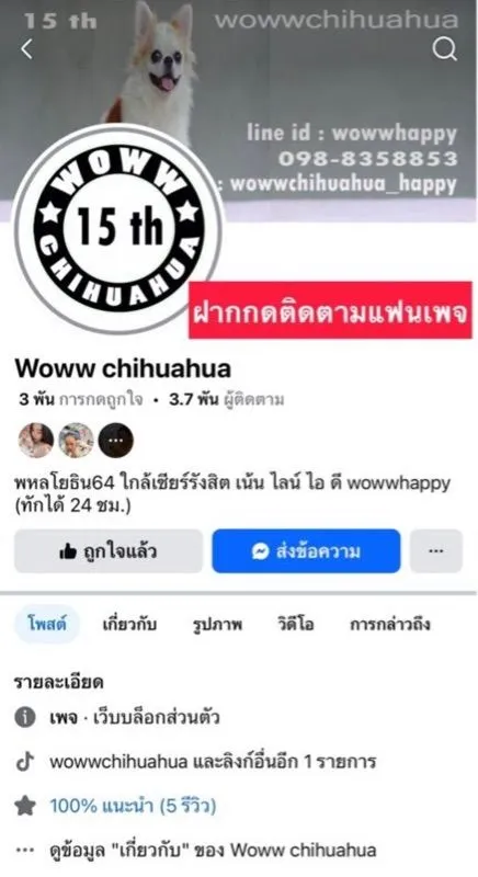 ว้าวชิวาวา กทม. ชิวาวาแท้ วัคซีนแล้วทุกตัว มีบริการส่งค่ะ