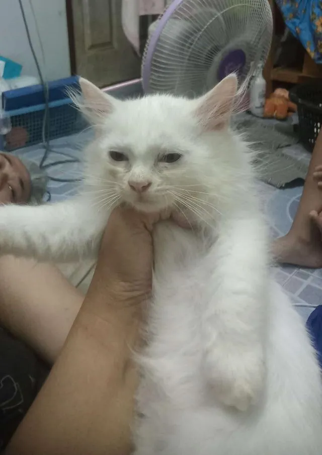 พร้อมย้ายบ้าน ดช. อายุ 2.2 เดือน