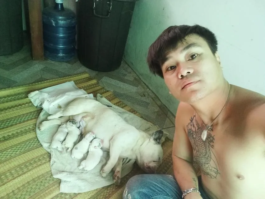 สุนัขพันธุ์เฟรนช์บูล็อก