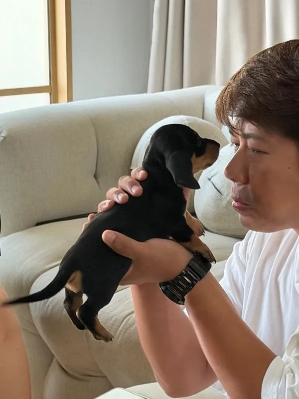 ดัชชุน ไซส์แรบบิท จิ๋วๆ