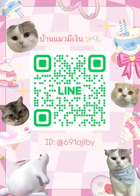น้องใหม่ไฟแรงค้าบ Scottish fold💯💯