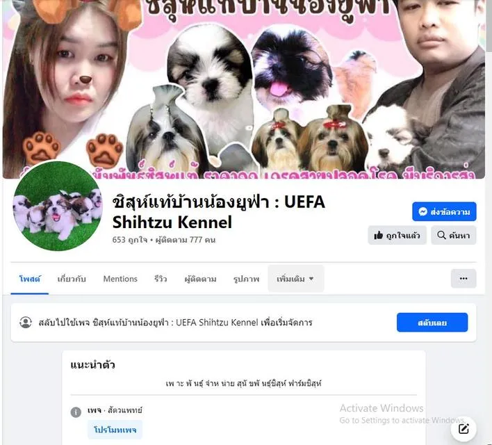 ขายเเล้ว!! ปอมชิวาว่า ช. 4500 ลดเหลือ 3500 วัคซีน ถ่ายพยาธิเทสลำไส้ พร้อมย้าย