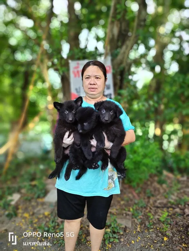 🐶 #บริการรับส่งสุนัขและแมวเท่านั้นทั่วไทยมีรถทุกวัน 📲 0867441143 นเรศ ID LINE : 0867441143 รับลงเครื่องส่งอยู่ต่างจังหวัดเดินทางด้วยรถไฟฟ้าแยกบล็อค