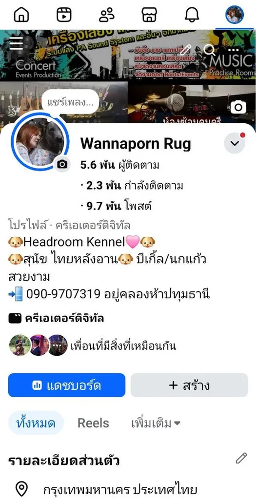 ลูกสุนัขบีเกิ้ลแท้ สายเลือดดี