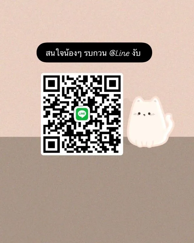 ลูกแมว Scottish Fold