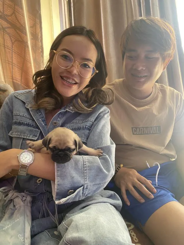 ลูกสุนัขพันธุ์ปั๊กลูกหมาพันธุ์ปั๊กอายุ 45 ถึง 60 วันสายเลือดแท้