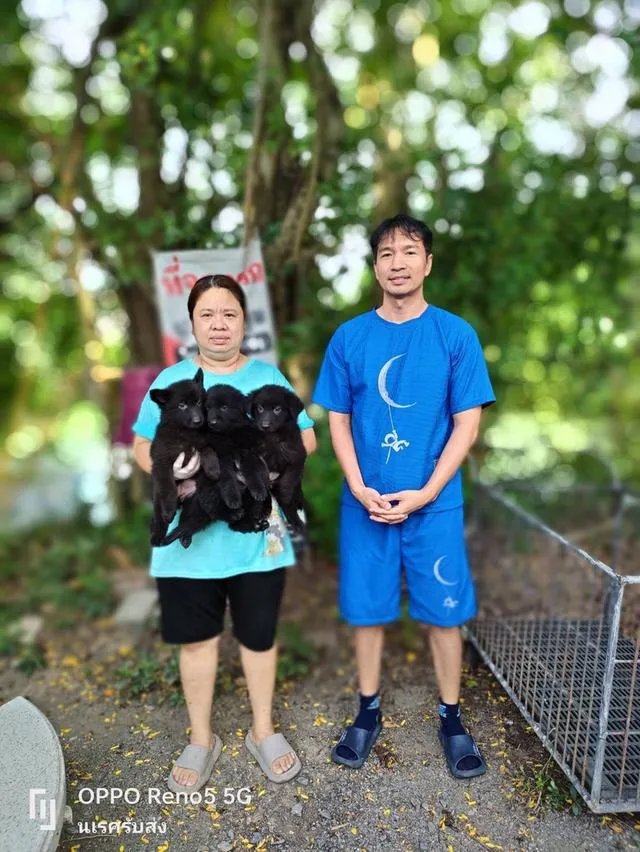 🐶 #บริการรับส่งสุนัขและแมวเท่านั้นทั่วไทยมีรถทุกวัน 📲 0867441143 นเรศ ID LINE : 0867441143 รับลงเครื่องส่งอยู่ต่างจังหวัดเดินทางด้วยรถไฟฟ้าแยกบล็อค