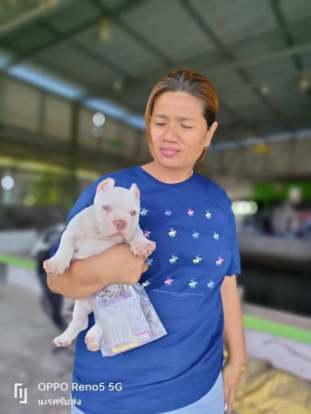 🐶 #บริการรับส่งสุนัขและแมวเท่านั้นทั่วไทยมีรถทุกวัน 📲 0867441143 นเรศ ID LINE : 0867441143 รับลงเครื่องส่งอยู่ต่างจังหวัดเดินทางด้วยรถไฟฟ้าแยกบล็อค