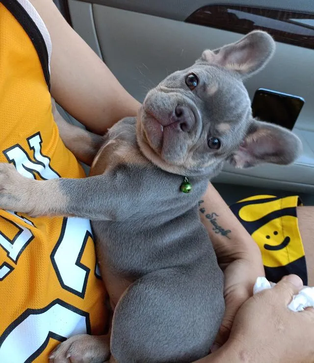 น้องโทนนี่ หาบ้านครับเอ็นดูน้องหน่อย