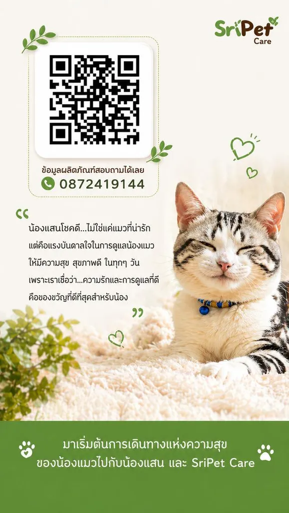 แผ่นเช็ดสมุนไพร ทำความสะอาดใบหูและผิว สำหรับแมว